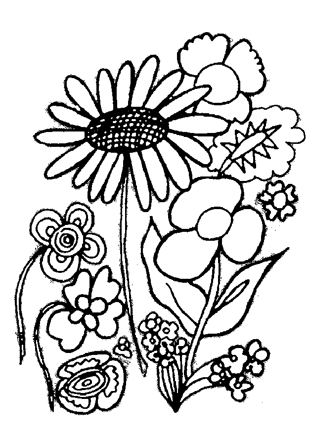 types of flowers coloring pages