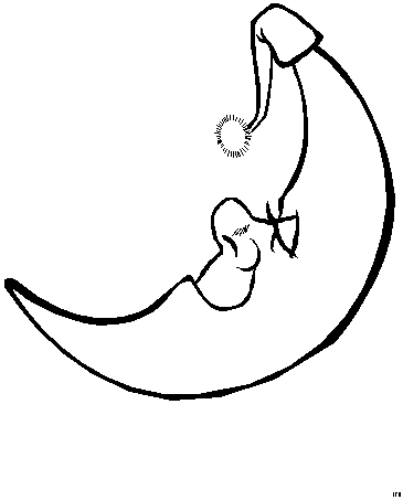 Moon Coloring Pages - Coloringpages1001.com