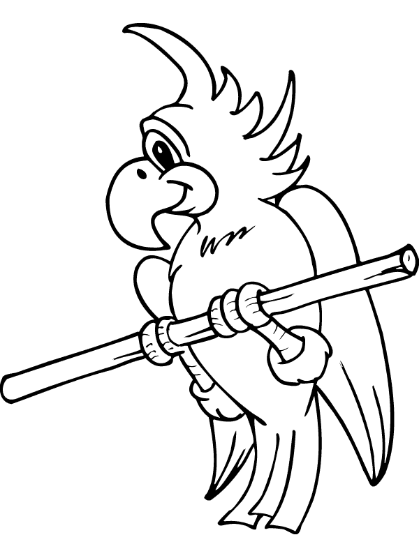 macaw coloring pages - photo #30
