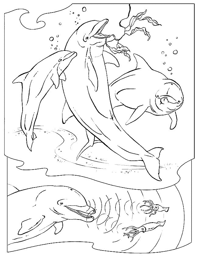 Sea animals Coloring Pages - Coloringpages1001.com