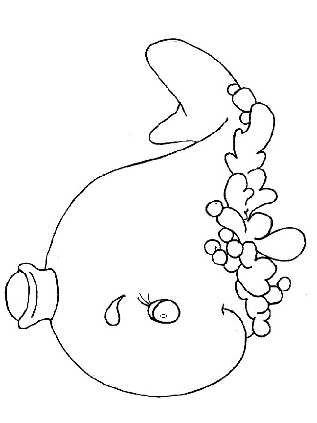 Sea animals Coloring Pages - Coloringpages1001.com