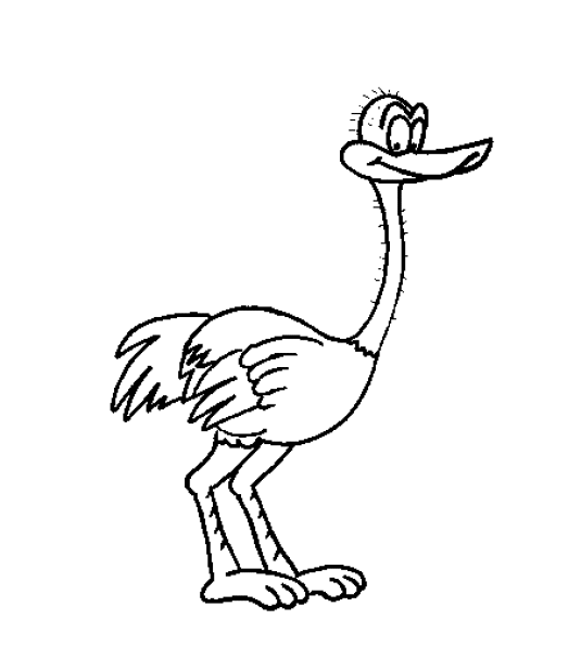 Bird Coloring Pages - Coloringpages1001.com