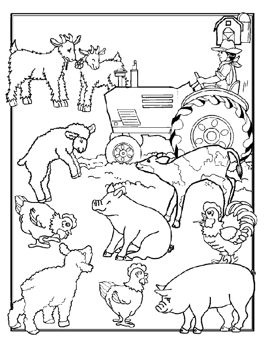 Coloring Pages Of Farm Animals 6