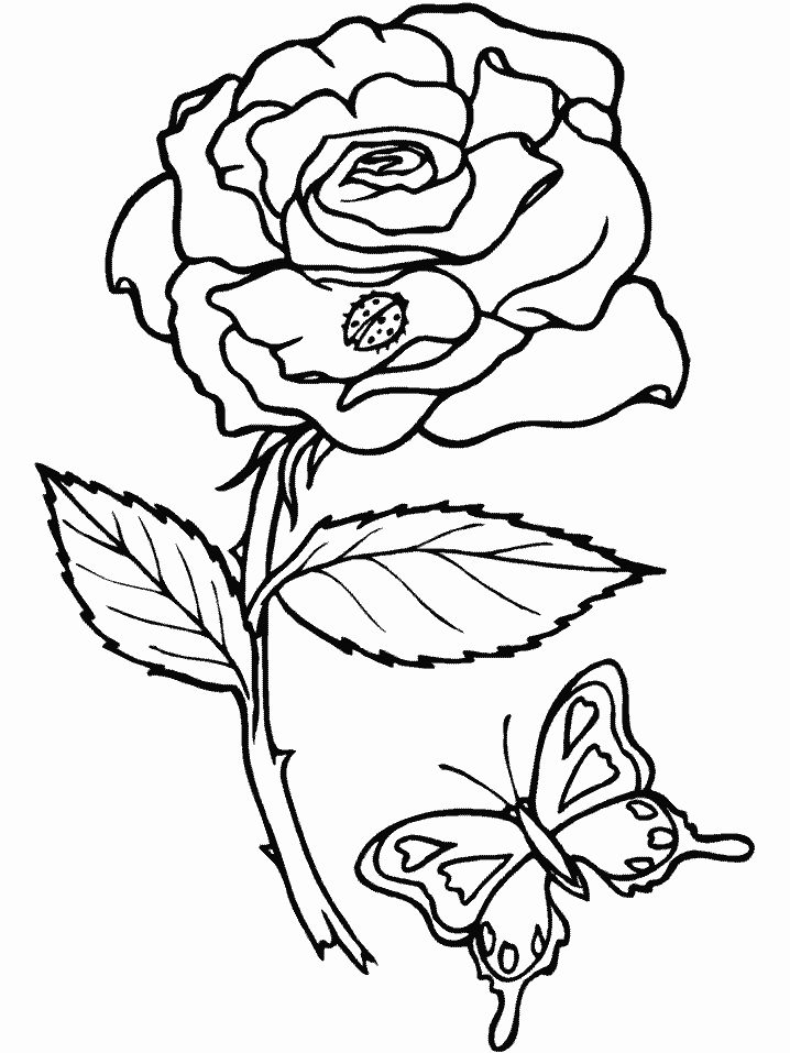 Pics Of Flowers For Coloring 6