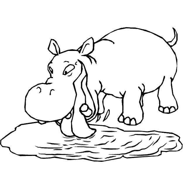 Hippo Coloring Pages - Coloringpages1001.com